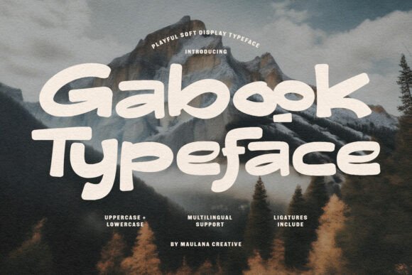 Gabook: A Warm, Professional Display Font for Small Businesses